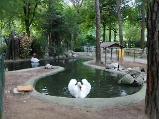 Hotel Valdor Cavallino-Treporti