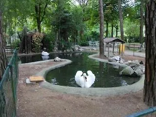 Hotel Valdor Cavallino-Treporti Italy