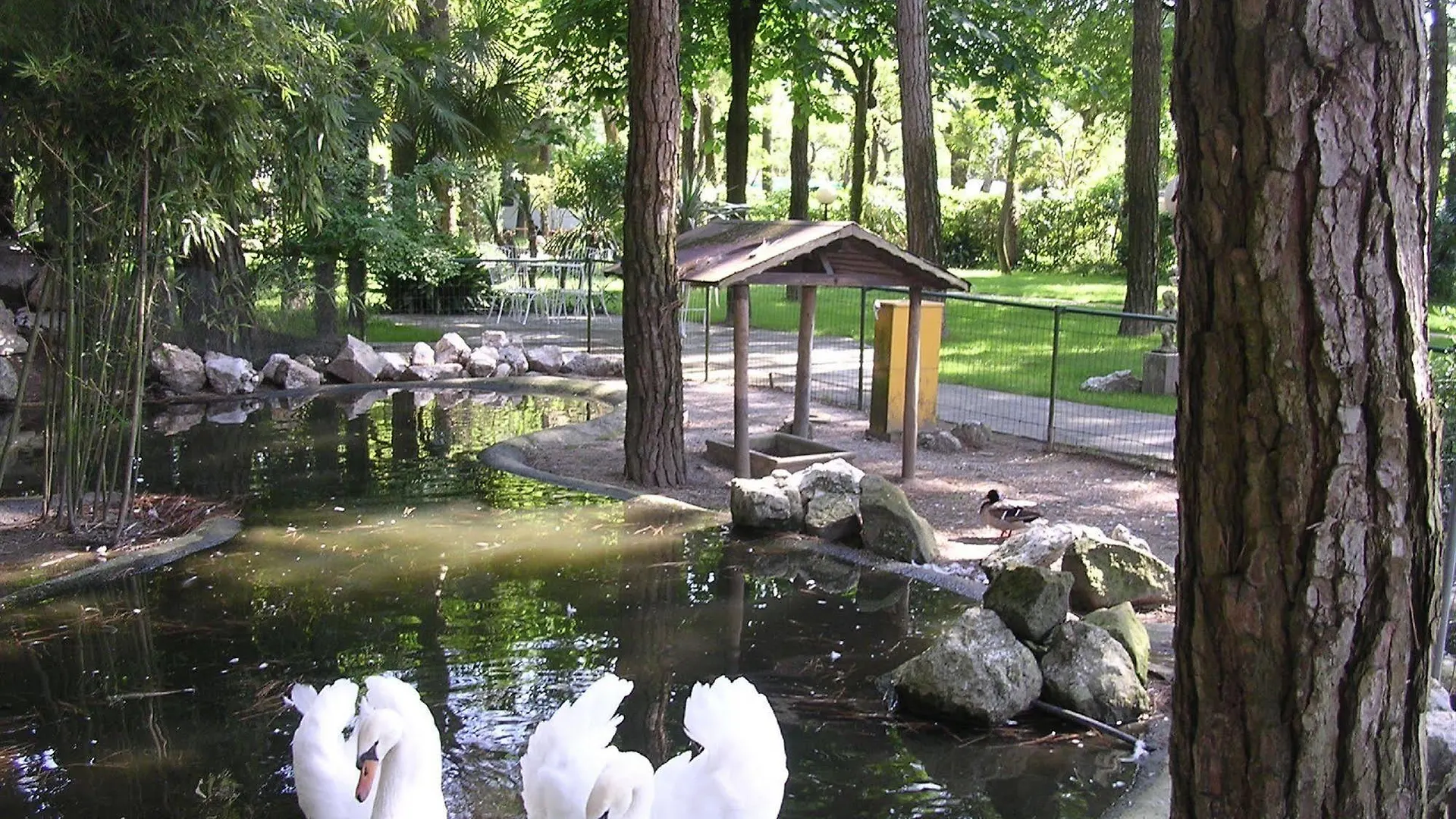 ***  Hotel Valdor Cavallino-Treporti Italy