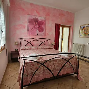 Il Giardino In Couette-café