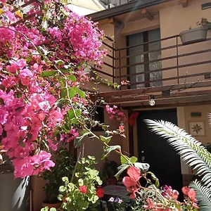 Mizzicahome Solemare Katania